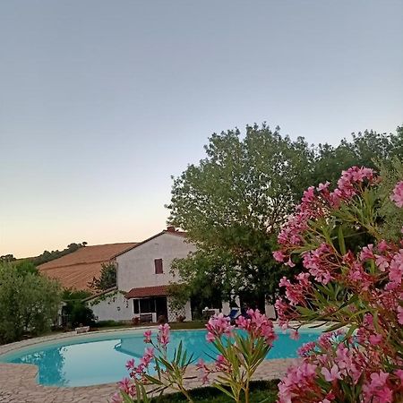 Agriturismo La Locandiera Montemerano Exteriér fotografie