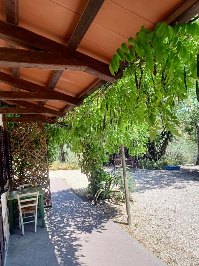Agriturismo La Locandiera Montemerano Exteriér fotografie