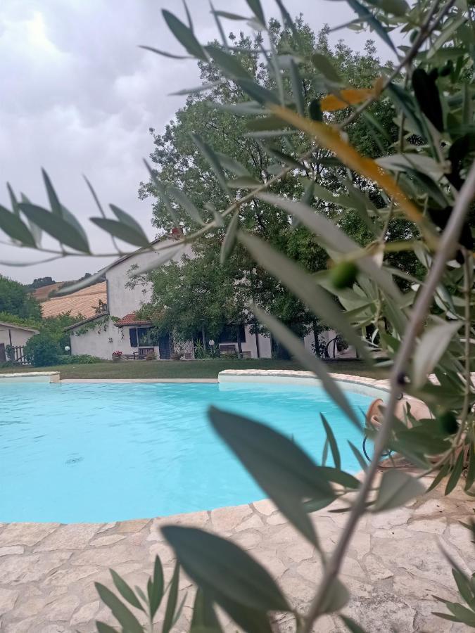 Agriturismo La Locandiera Montemerano Exteriér fotografie