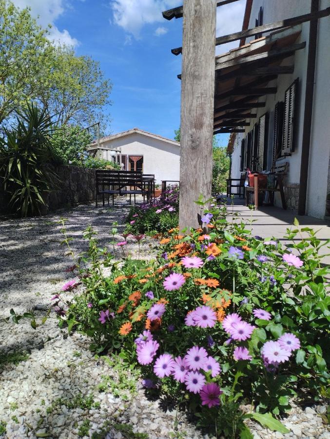 Agriturismo La Locandiera Montemerano Exteriér fotografie