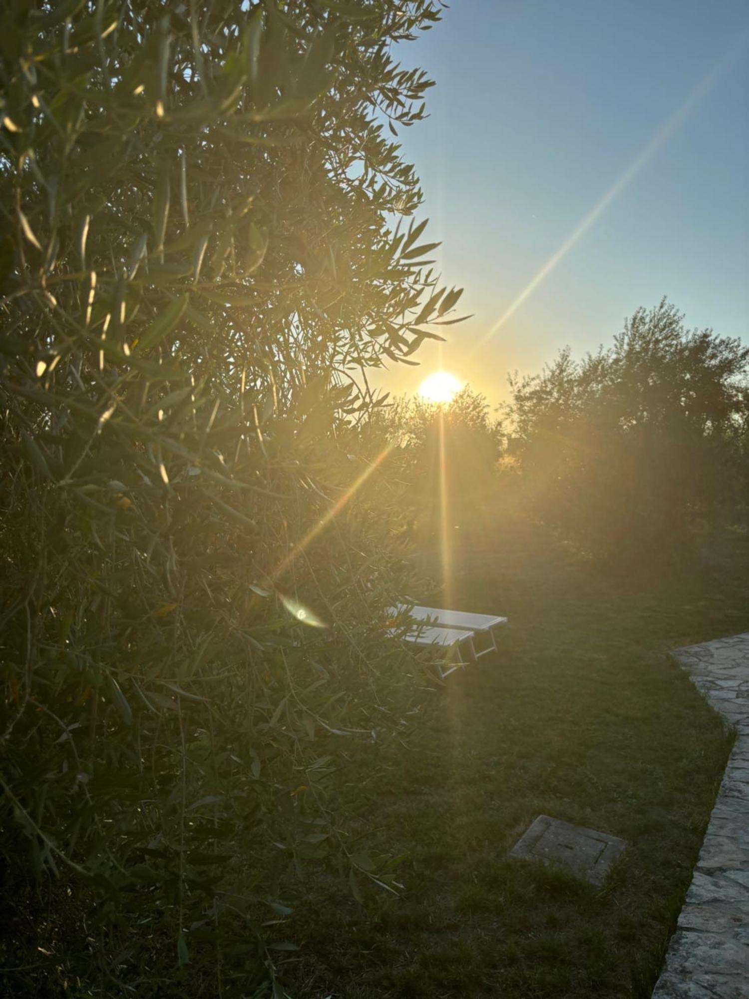 Agriturismo La Locandiera Montemerano Exteriér fotografie